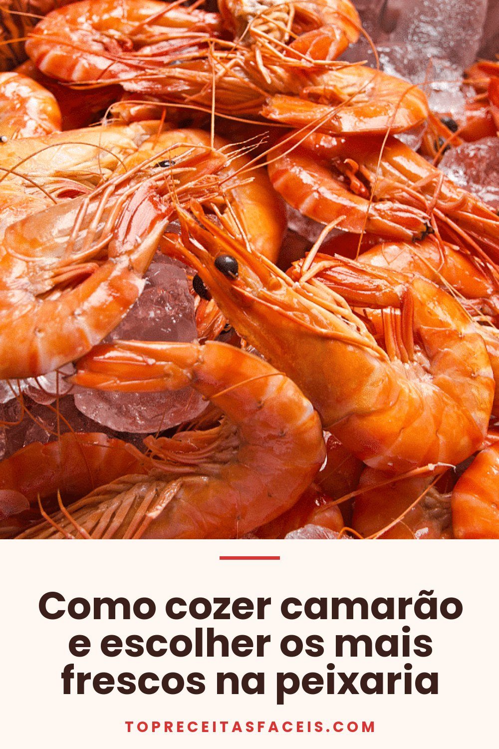 Como cozer camarão e escolher os mais frescos na peixaria