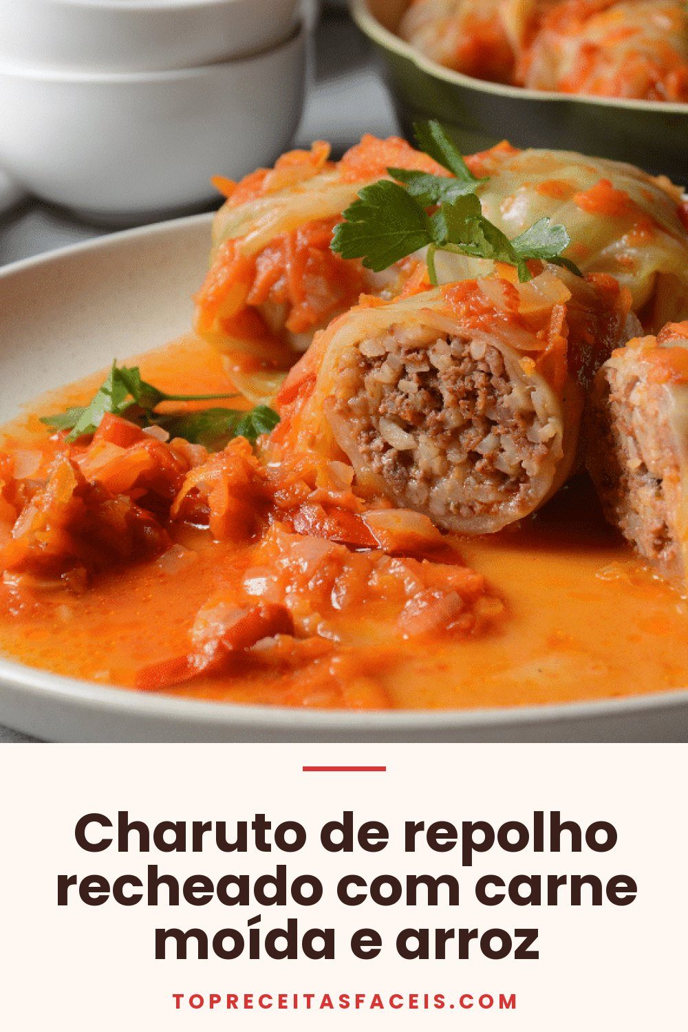 Charuto de repolho recheado com carne moída e arroz
