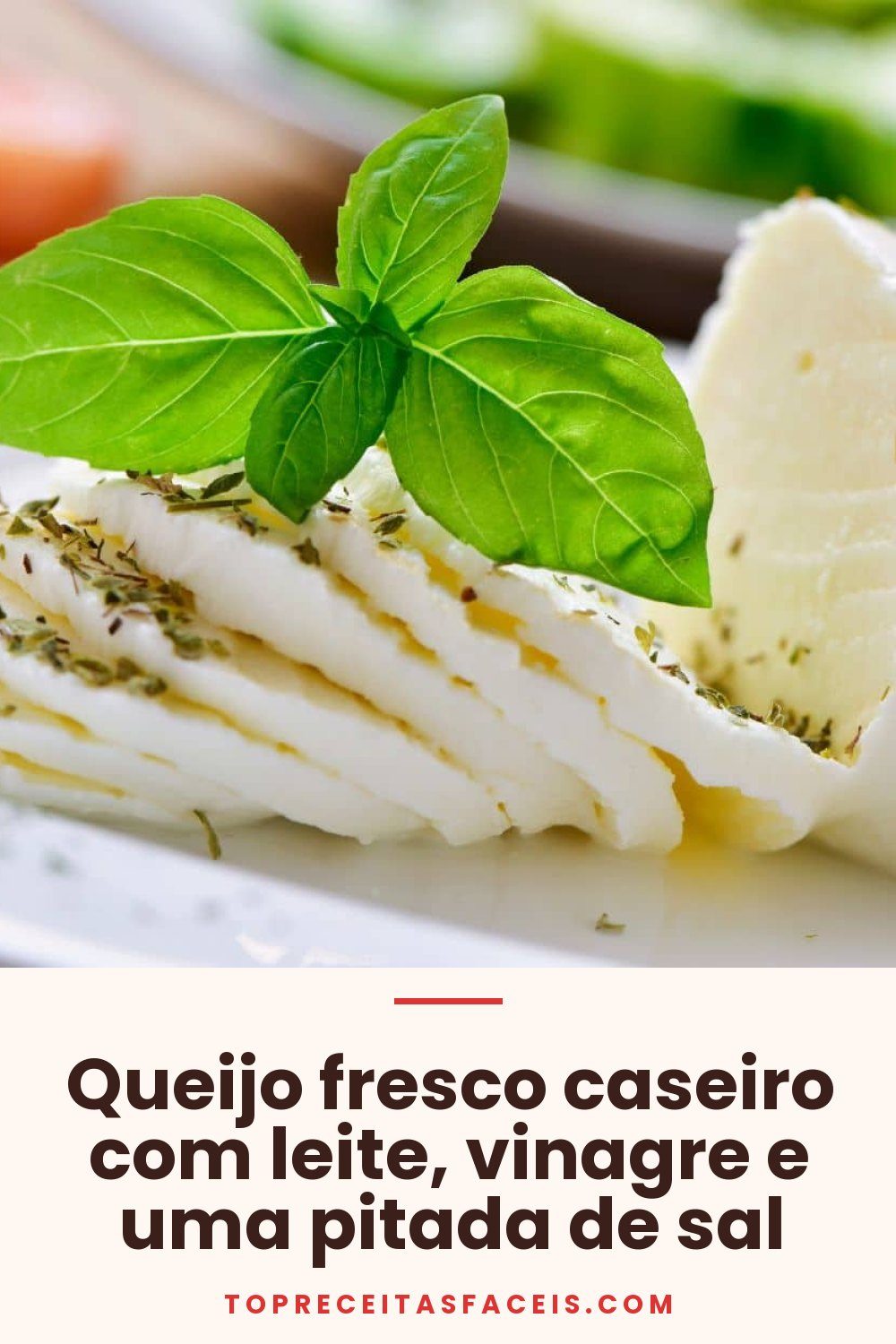 Queijo fresco caseiro com leite, vinagre e uma pitada de sal
